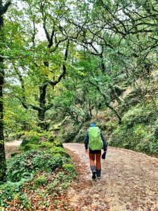 caminho-peregrinos-braga-santiago-portugal-2019-11