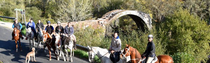 camino-pazos-arenteiro-peregrinos-boboras-ribeiro