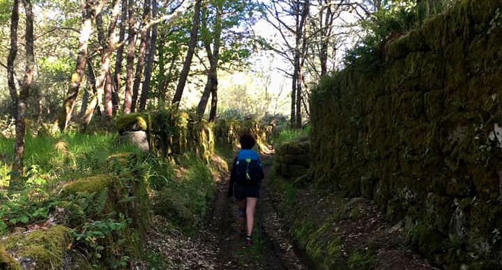 camino-peregrinos-beran-pazos-arenteiro-santiago
