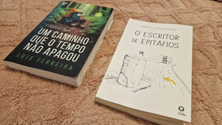 libro-novela-camino-santiago-diario-viaje-cga
