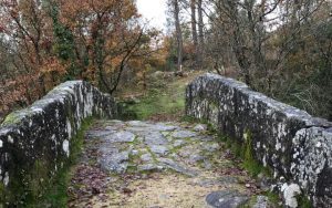 ponte-caminho-peregrinos-castro-ribadavia-laboreiro