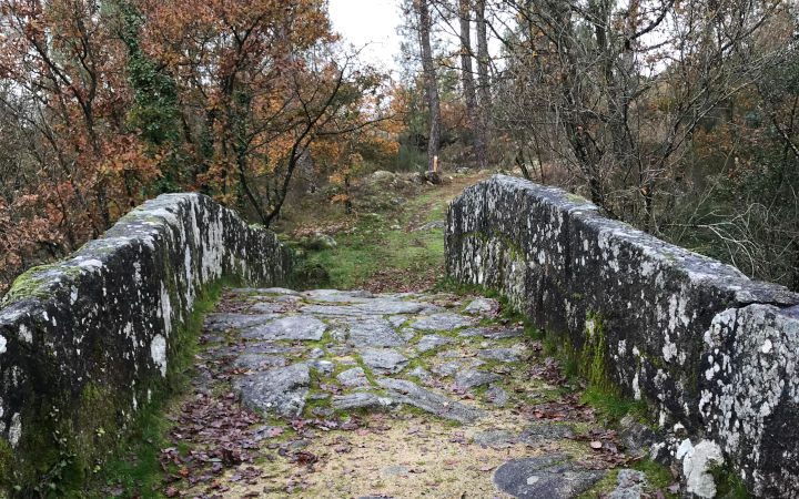 ponte-caminho-peregrinos-castro-ribadavia-laboreiro