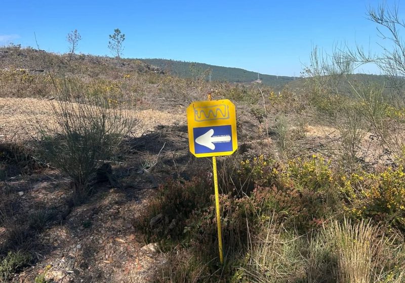sabotaje-flechas-camino-santiago-2025-10